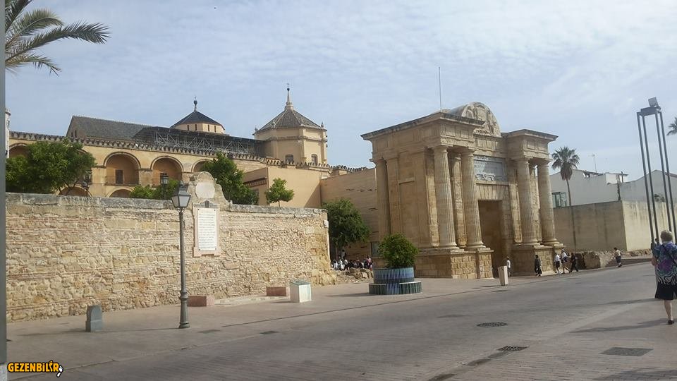 cami1.jpg