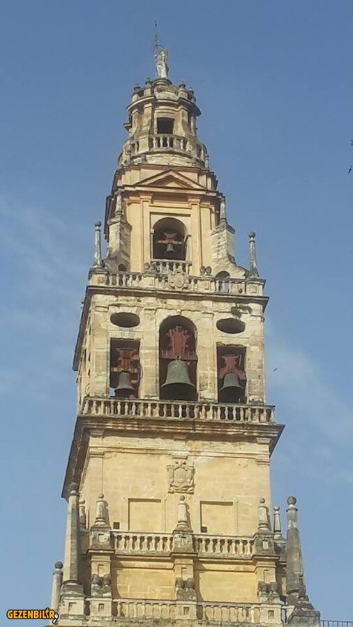 cami21.jpg
