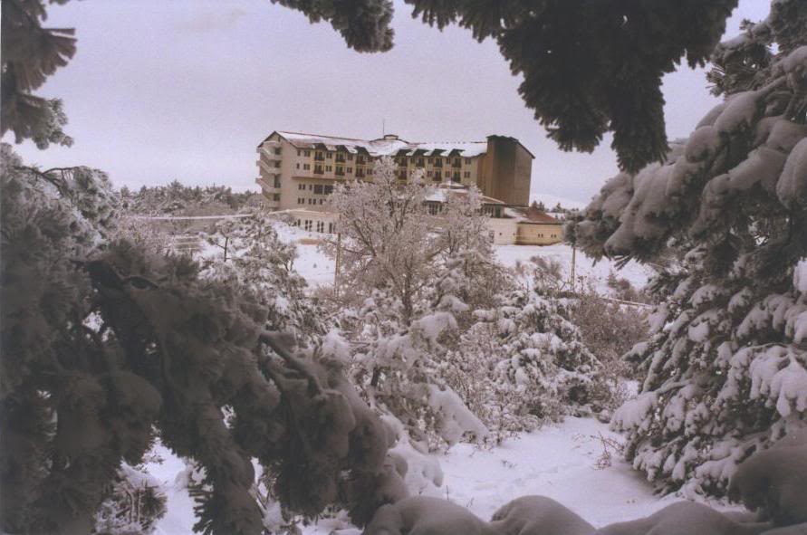 camlik9.jpg