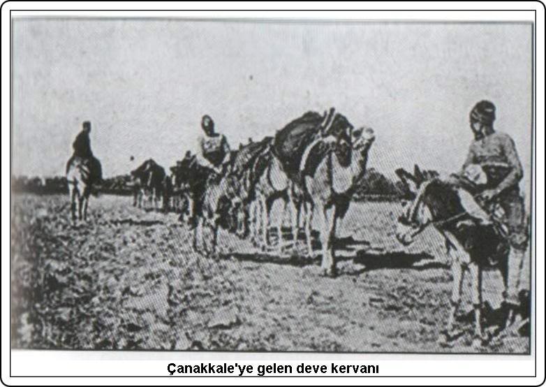canakkaleeski165xe.jpg