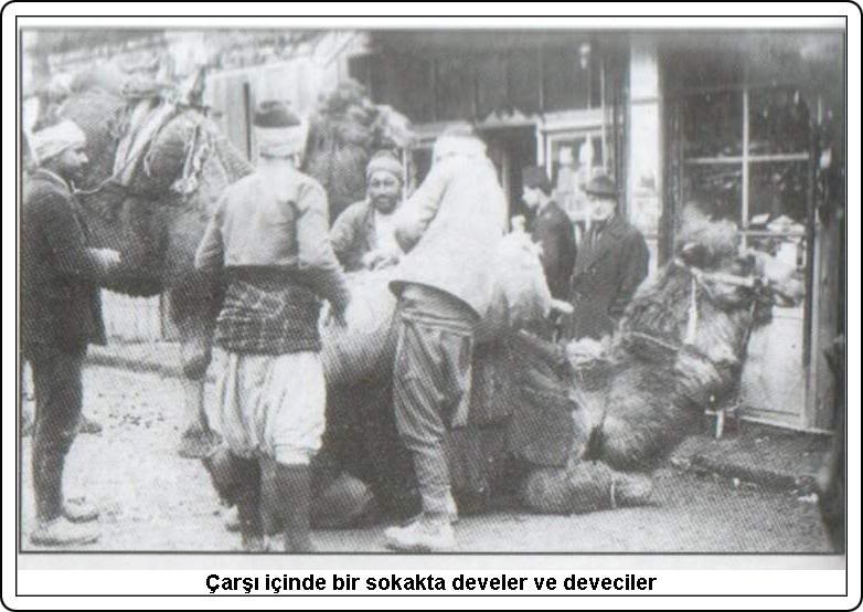 canakkaleeski190pq.jpg