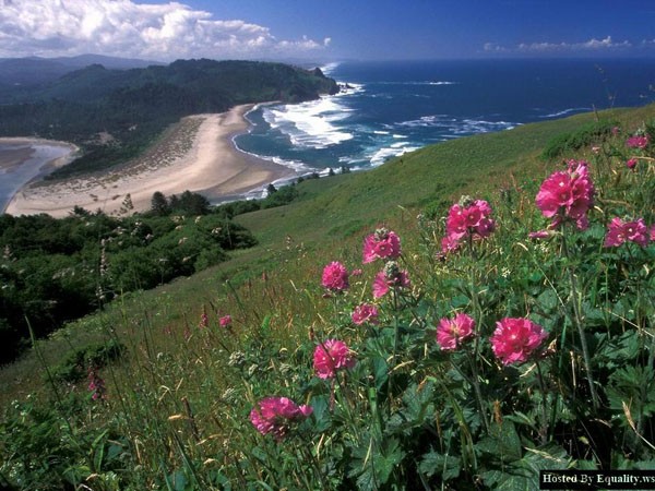 Cascade Head, Oregon.jpg
