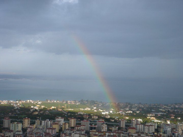 catal002.jpg