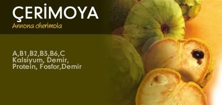 cerimoya.jpg