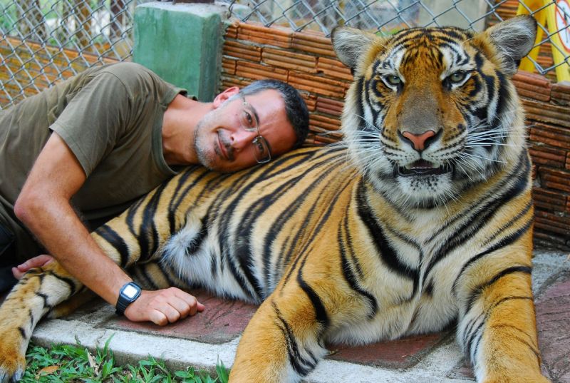 Chiang Mai.jpg