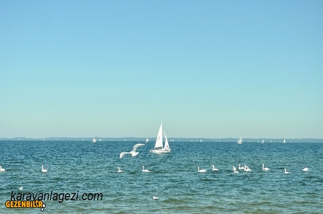 Chiemsee gölü martı ve yelkenli.jpg