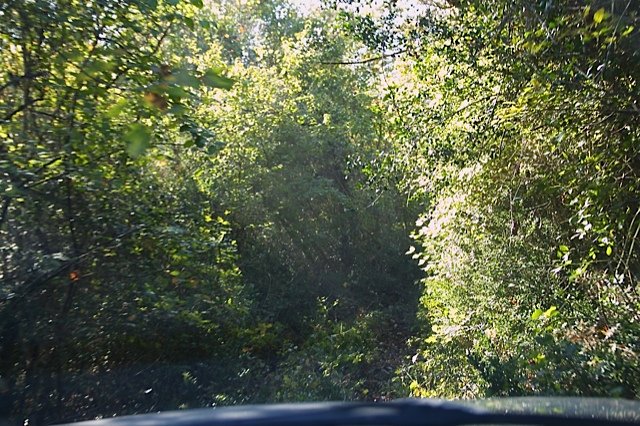 !cid_image0F6262C2-3EE6-4C7E-81D1-ECE0ECC2FDFD (640x426).jpg