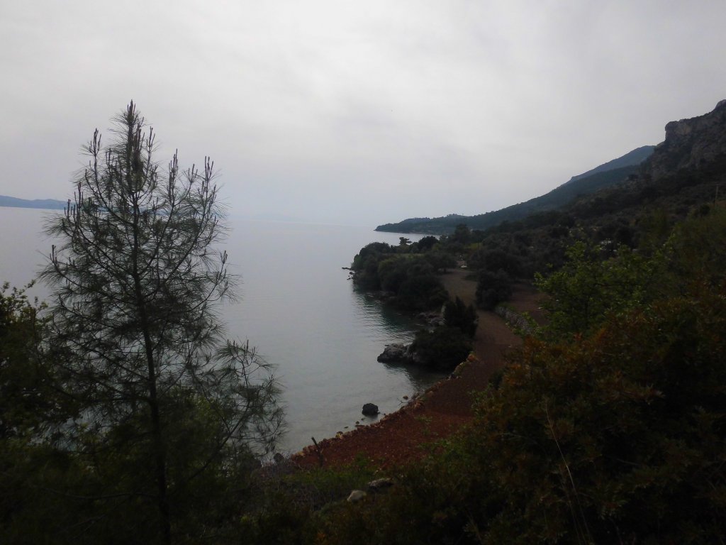 CIMG0013.JPG