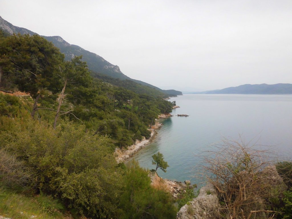 CIMG0015.JPG
