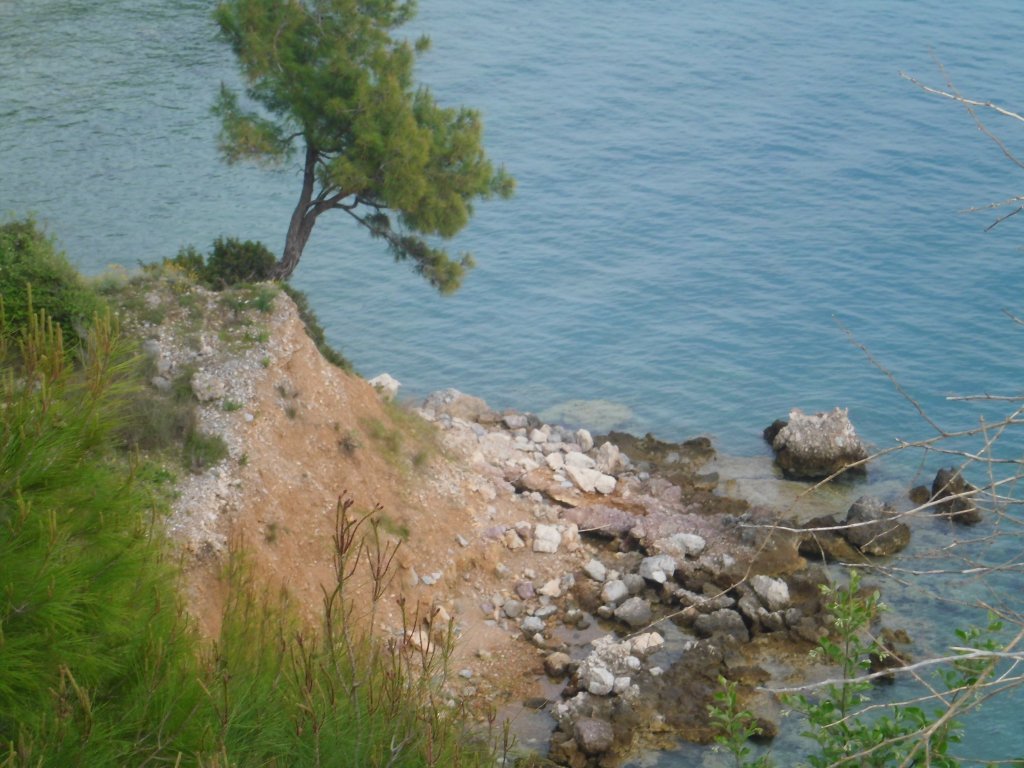 CIMG0016.JPG