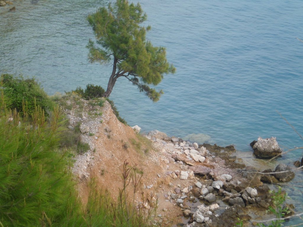 CIMG0017.JPG