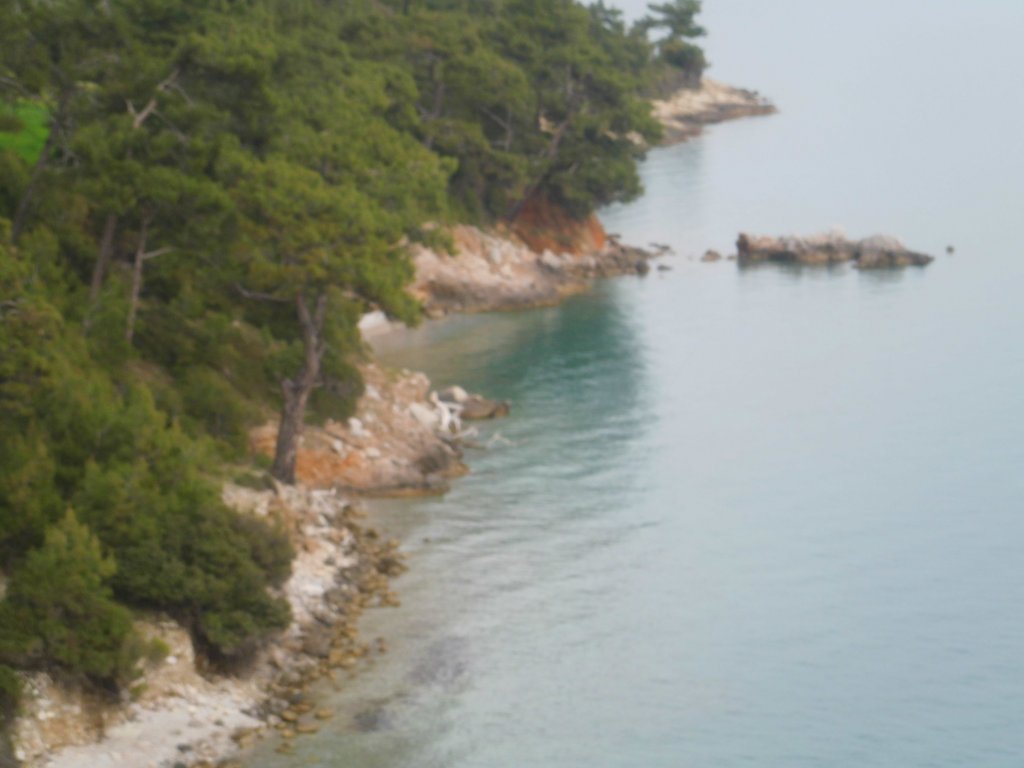 CIMG0018.JPG