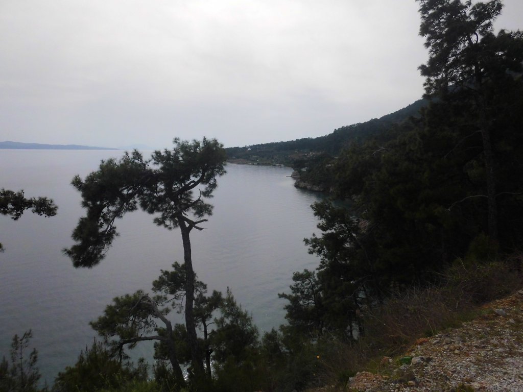 CIMG0019.JPG