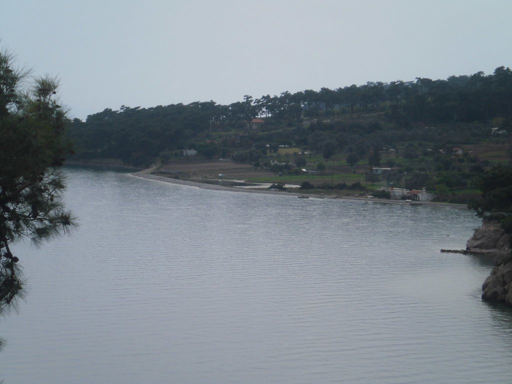 CIMG0020.JPG