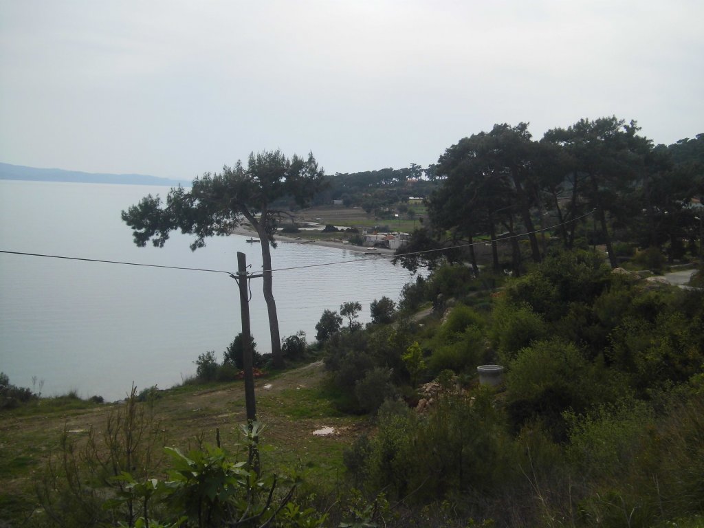CIMG0022.JPG