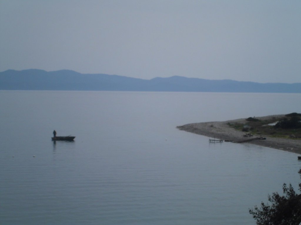 CIMG0024.JPG
