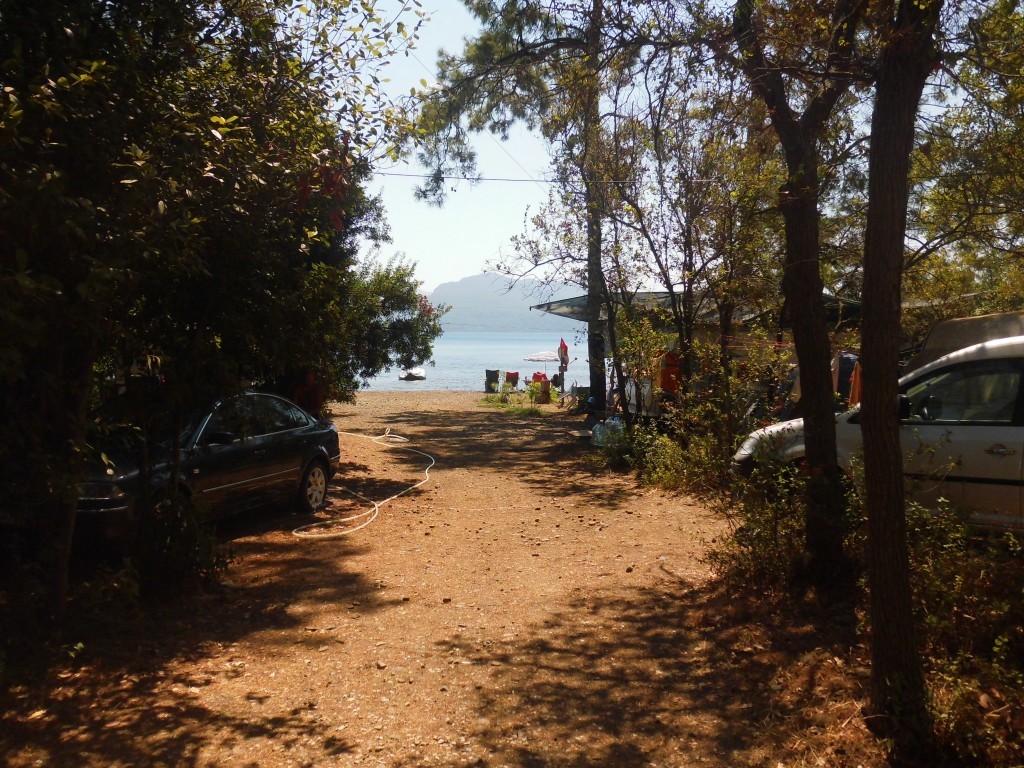 CIMG0128.JPG
