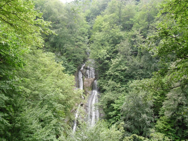 CIMG0168.jpg
