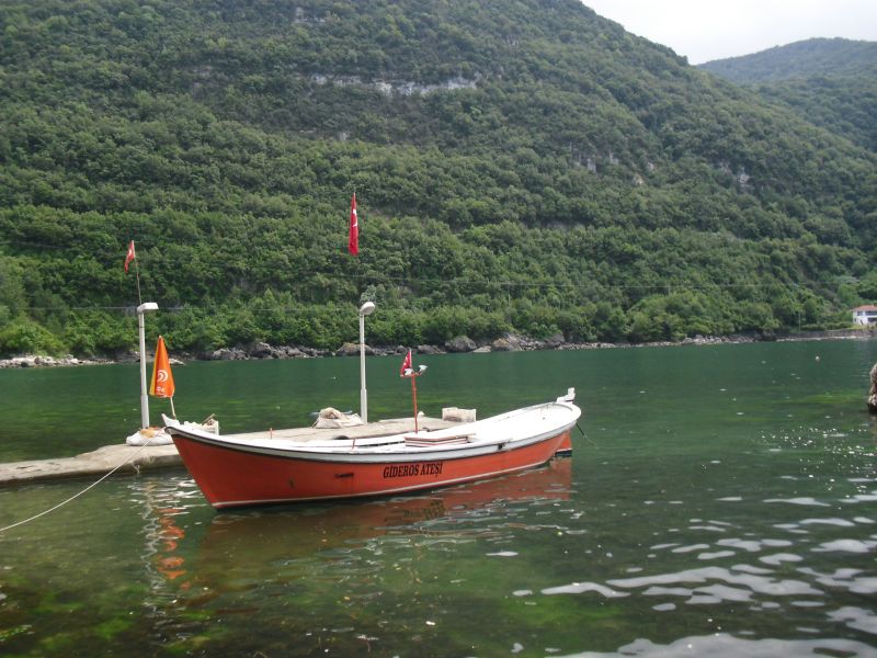 CIMG0201.jpg