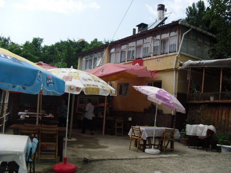 CIMG0203.jpg