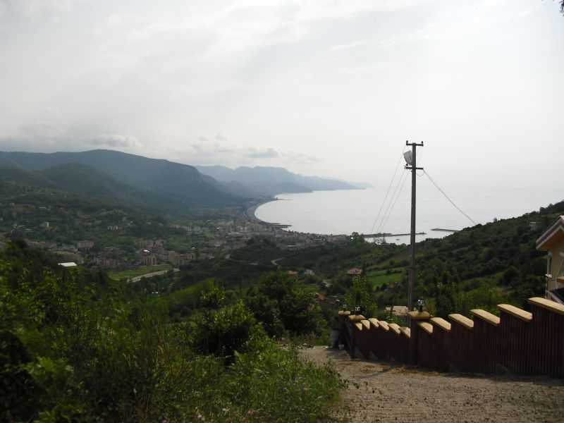 CIMG0210.jpg