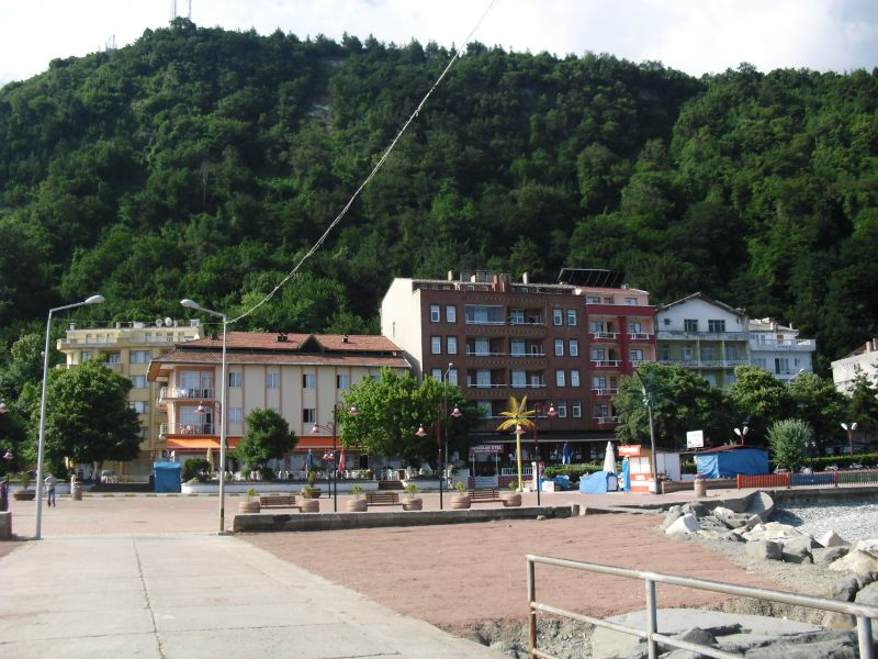 CIMG0217.jpg