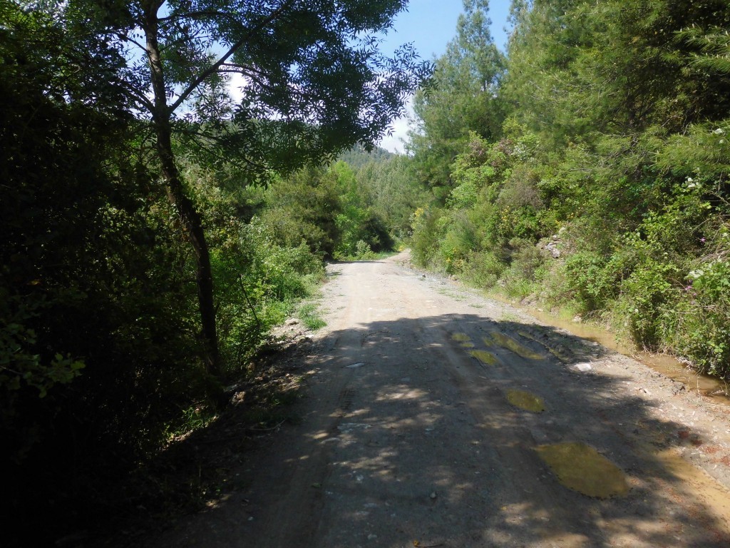 CIMG0218.JPG