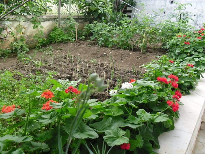 CIMG0267.jpg