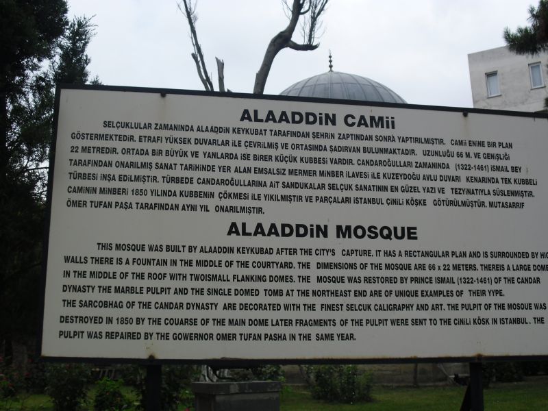 CIMG0275.jpg
