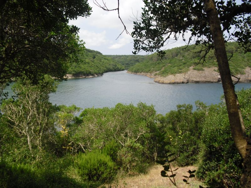 CIMG0288.jpg