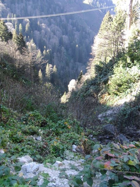 CIMG0327.jpg