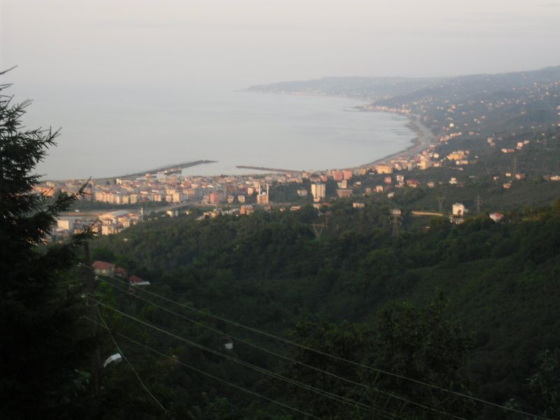 CIMG0333.jpg
