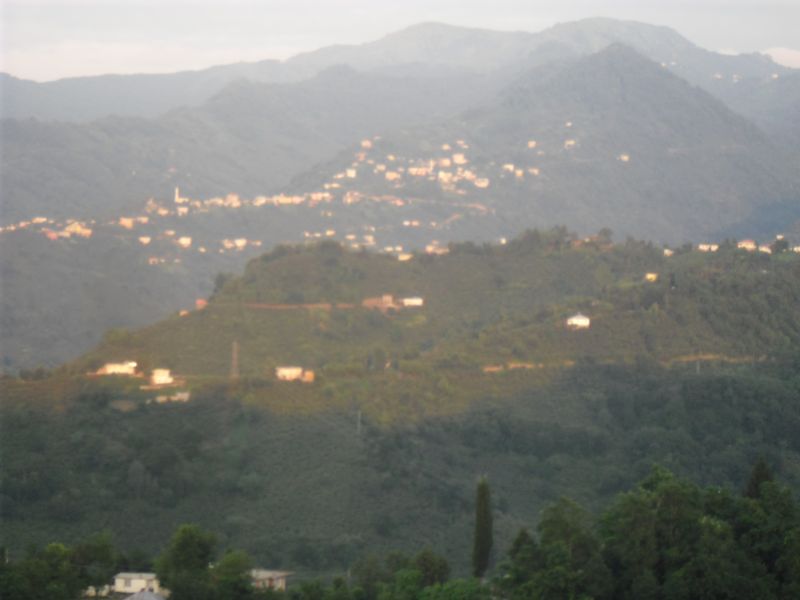 CIMG0334.jpg