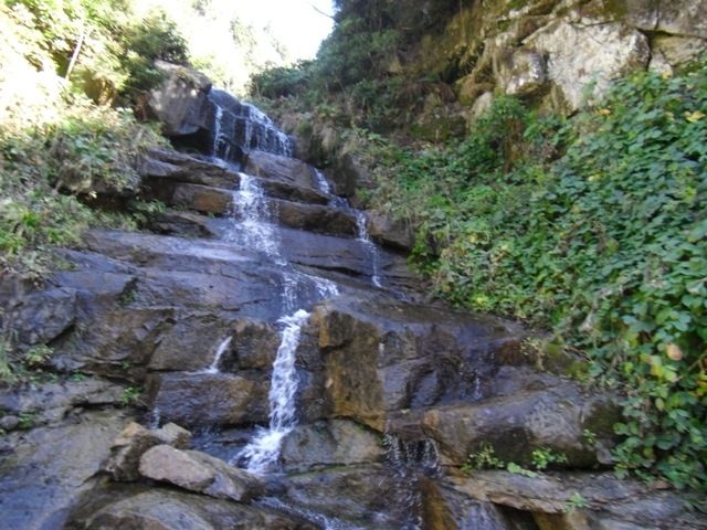CIMG0334.jpg