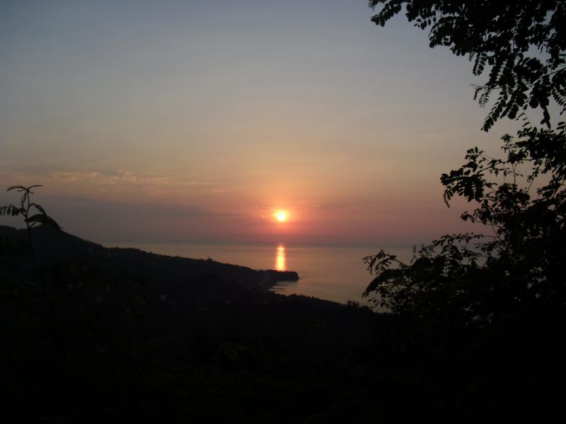CIMG0338.jpg