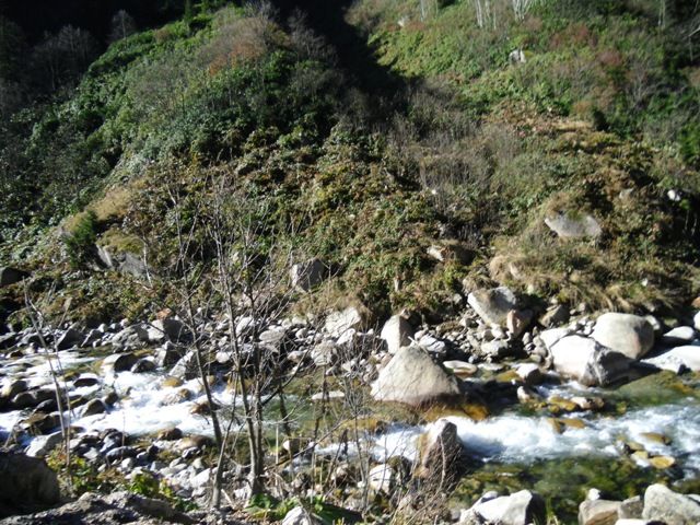 CIMG0340.jpg