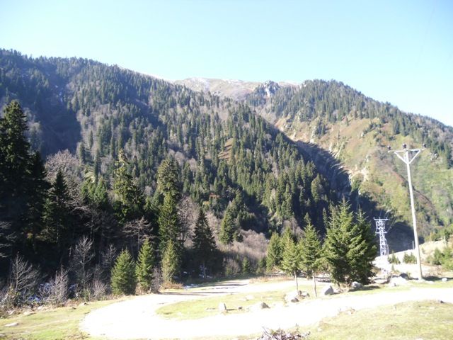 CIMG0346.jpg