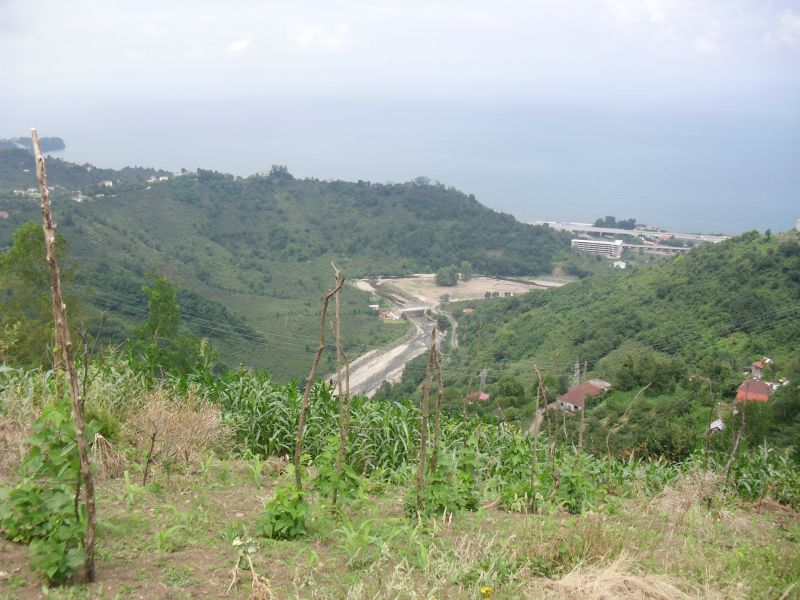 CIMG0348.jpg