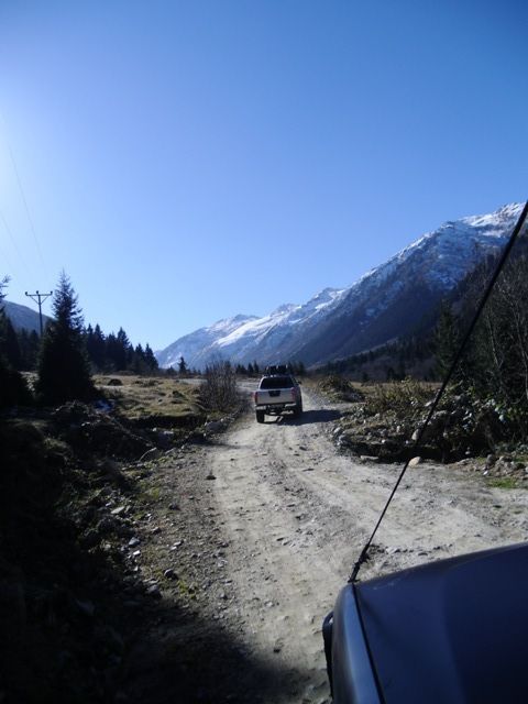 CIMG0353.jpg