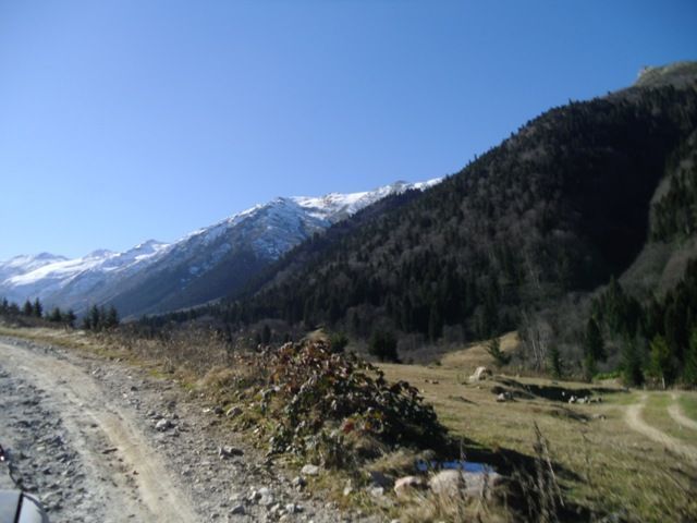CIMG0355.jpg