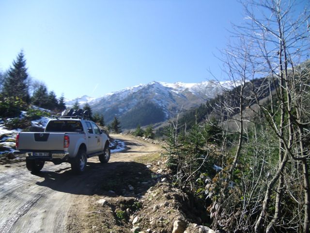 CIMG0357.jpg