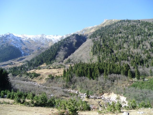 CIMG0360.jpg