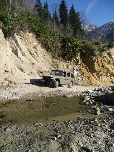 CIMG0387.jpg