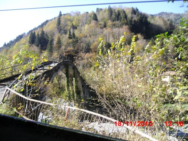 CIMG0408.jpg