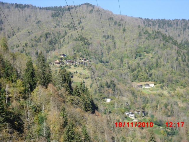 CIMG0414.jpg