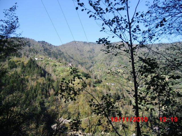 CIMG0415.jpg