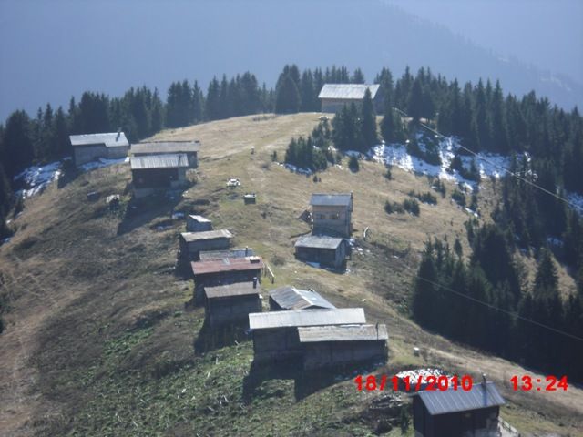 CIMG0433.jpg