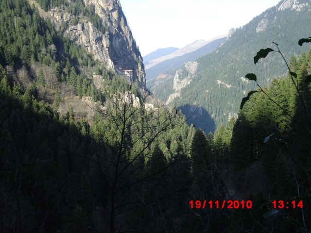 CIMG0464.jpg