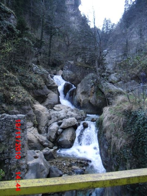 CIMG0470.jpg