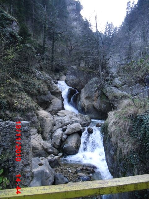 CIMG0471.jpg